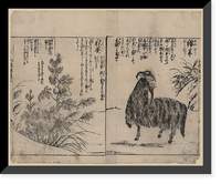 Historic Framed Print, [Japanese Ukiyo-e print] - 274,  17-7/8" x 21-7/8"