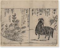 Historic Framed Print, [Japanese Ukiyo-e print] - 274,  17-7/8" x 21-7/8"