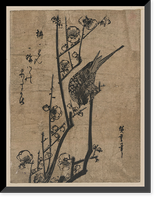 Japanese Ukiyo-e print - 563, Historic Print