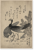 Historic Framed Print, [Japanese Ukiyo-e print] - 1087,  17-7/8" x 21-7/8"