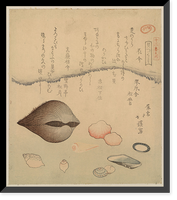 Historic Framed Print, [Japanese Ukiyo-e print] - 1136,  17-7/8" x 21-7/8"