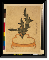 Historic Framed Print, [Japanese Ukiyo-e print] - 1288,  17-7/8" x 21-7/8"