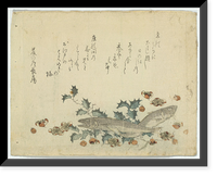 Japanese Ukiyo-e print - 1343, Vintage Print