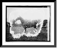 Historic Framed Print, Princess,  17-7/8" x 21-7/8"