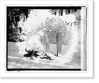 Warren G. Harding - 9 Classic, Vintage Print