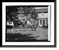 General Pershing (horse Quidron?), Antique Wall Art