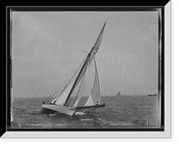 Historic Framed Print, Shamrock - 6,  17-7/8" x 21-7/8"