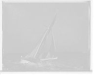 Historic Framed Print, Shamrock - 6,  17-7/8" x 21-7/8"