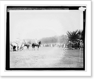 Harding (polo), 6/18/21, Historic Reproduction
