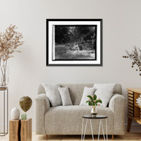 Historic Framed Print, Sham battle, Georgetown - 2,  17-7/8" x 21-7/8"