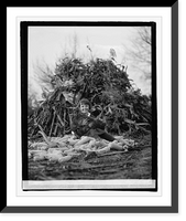 Historic Framed Print, [Girl holding turkey],  17-7/8" x 21-7/8"