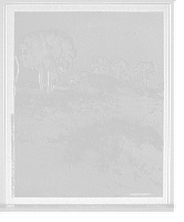 Historic Framed Print, Sand dunes and palmettoes, Isle of Pines [i.e. Palms],Charleston, S.C.,  17-7/8" x 21-7/8"