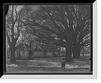 Historic Framed Print, The Hermitage, slave quarters, Savannah, Ga.,  17-7/8" x 21-7/8"