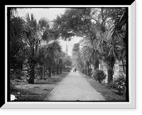 Historic Framed Print, Colonial Park, Savannah, Ga. - 2,  17-7/8" x 21-7/8"