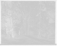 Historic Framed Print, Old tree in Bartram's Park [Bartram's Gardens], Philadelphia, Pa.,  17-7/8" x 21-7/8"