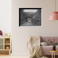 Historic Framed Print, Ivy arch bridge in Delaware Park, Buffalo, N.Y.,  17-7/8" x 21-7/8"