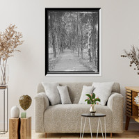 PHILADELPHIA - 2, Antique Wall Art