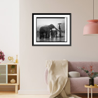Historic Framed Print, [Elephant], 12/5/23,  17-7/8" x 21-7/8"