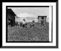 Children with young goats, Historic Reproduction