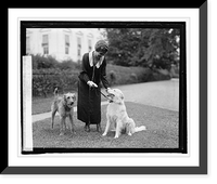Mrs. Coolidge with Rob Roy & Laddie Buck, 9/26/24, Vintage Print
