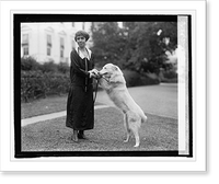 Mrs. Coolidge with Rob Roy, 9/26/24, Vintage Print