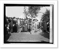 National War Mothers of Dist. plant tree at Lincoln Memorial, 10/13/24 Classic, Antique Print