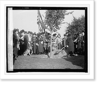Natl. War Mothers of Dist. plant tree at Lincoln Memorial, 10/13/24 - 2, Antique Print