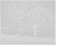 Historic Framed Print, Moonlight, Lake Mendoza, Minneapolis, Minn.,  17-7/8" x 21-7/8"