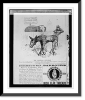 Copy photograph of cartoon Uncle Sam's Clover Farm protected"" Classic, Historic Reproduction