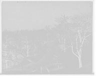 Historic Framed Print, Road in Riverview Park, Pittsburg, N.S. [i.e. North Side], Pa.,  17-7/8" x 21-7/8"