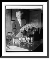 Historic Framed Print, Ben D. Hill, tobacco specialist, Dept. of Commerce, [8/4/25],  17-7/8" x 21-7/8"