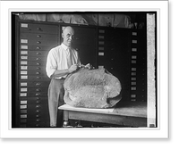 Historic Framed Print, C.W. Gilmore with fossil turtle, Smithsonian, 9/4/25,  17-7/8" x 21-7/8"
