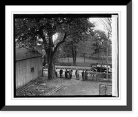 Horse Chestnut tree planted by Geo. Wash. at Fredericksburg, Va., 10/1/25 Classic, Antique Wall Art