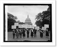 Historic Framed Print, Demonstration by American Ass'n. recognizing Irish Republic, [10/3/25] - 2,  17-7/8" x 21-7/8"