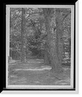 Historic Framed Print, Path to Tupelo Point, Wellesley College, Mass.,  17-7/8" x 21-7/8"