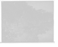 Historic Framed Print, Trees along Lake Waban, Wellesley College, Mass.,  17-7/8" x 21-7/8"
