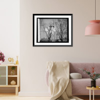 Historic Framed Print, Wiesmer (Georgetown),  17-7/8" x 21-7/8"