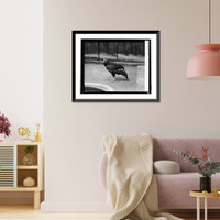 Historic Framed Print, Condor at Zoo, 5/3/26,  17-7/8" x 21-7/8"
