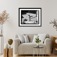 Historic Framed Print, Rock Hopper penguin at Wash. Zoo.,  17-7/8" x 21-7/8" Historic Framed Print, Rock Hopper penguin at Wash. Zoo.,  17-7/8" x 21-7/8"