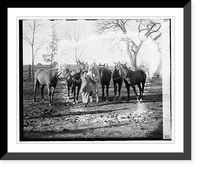 Historic Framed Print, Mrs. Wm. Mitchell, 11/18/26 - 2,  17-7/8" x 21-7/8"