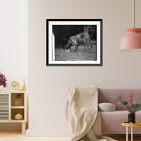 Pat, Irish Wolfhound, 4/11/29, Vintage Print