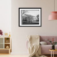 Lincoln Memorial & Cherry trees, 4/10/29, Vintage Print