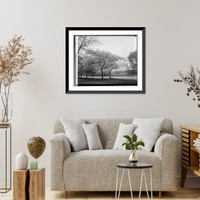 Lincoln Memorial & Cherry trees, 4/10/29, Vintage Print