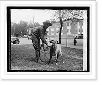 Wm. Harrison Bones, Stinson Goat, 9/5/29, Antique Print