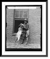 Wm. Harrison Bones, Stinson Goat, 9/5/29 - 2 Classic, Antique Print