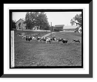 H. C. Rogers, Hamilton, VA, Vintage Wall Art