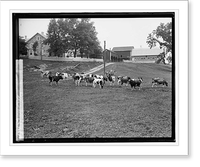 H. C. Rogers, Hamilton, VA, Vintage Wall Art