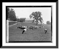 H. C. Rogers, Hamilton, VA - 2, Vintage Poster