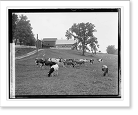 H. C. Rogers, Hamilton, VA - 2, Vintage Poster