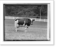 H. C. Rogers, Hamilton, VA - 4, Historic Reproduction